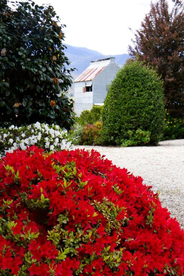 Alpenhorn Holiday Units Mount Beauty Exteriör bild